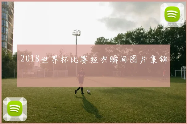 2018世界杯比赛经典瞬间图片集锦