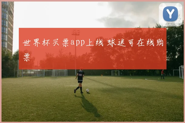世界杯买票app上线 球迷可在线购票
