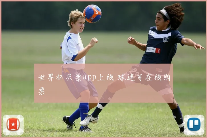 世界杯买票app上线 球迷可在线购票