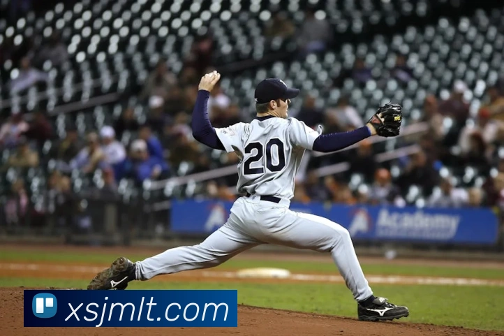 AI Risk Control